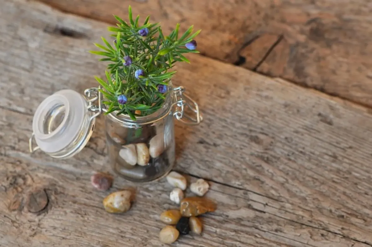 Kompozycje lasów w słoikach